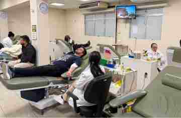  242 mil paranaenses são doadores de sangue; percentual está acima da média nacional